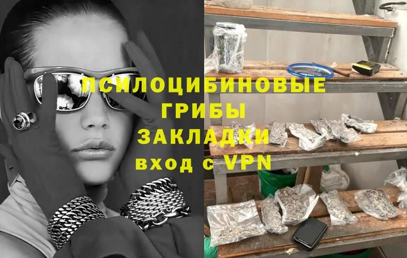 МЕГА ТОР  Скопин  shop официальный сайт  Галлюциногенные грибы мицелий 